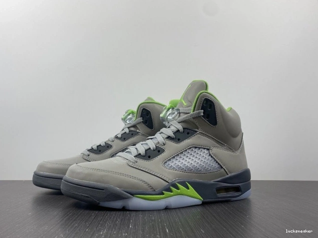 LUCY 5 Jordan DM9014-003 (2022) Green Retro Bean 0701
